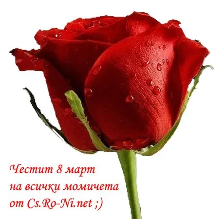 ��ɫõ�廨����PNG���ͼ