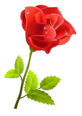 ��԰�����Ժ�ɫõ�廨PNG���ͼ