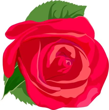 ������ɫõ�廨�ܲ廭PNG���ͼ