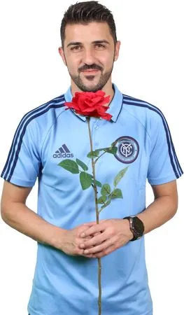 ������ɫõ�廨PNG���ͼ