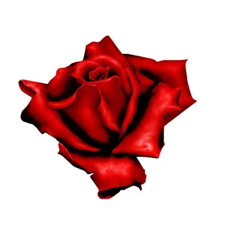 ���ź�ɫõ�廨�廭PNG���ͼ