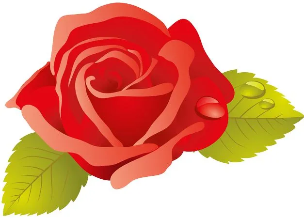 ��������������ɫõ�廨PNG���ͼ