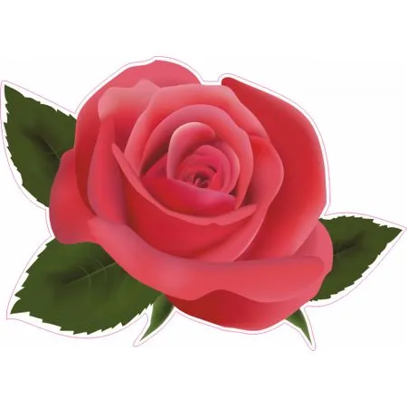 ��ɫõ�廨��Ҷ�Ӳ廭PNG���ͼ