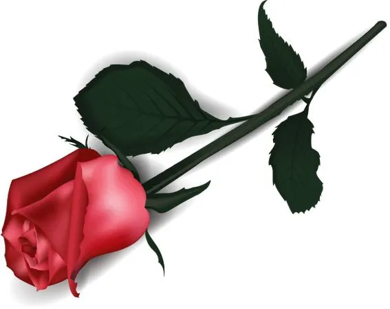 ������ɫõ�廨����ҶPNG���ͼ