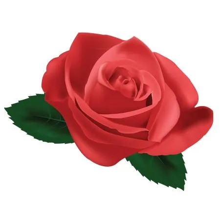 ������ɫõ�廨�廭PNG���ͼ