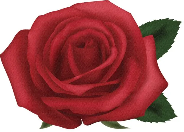 ������ɫõ�廨�廭PNG���ͼ