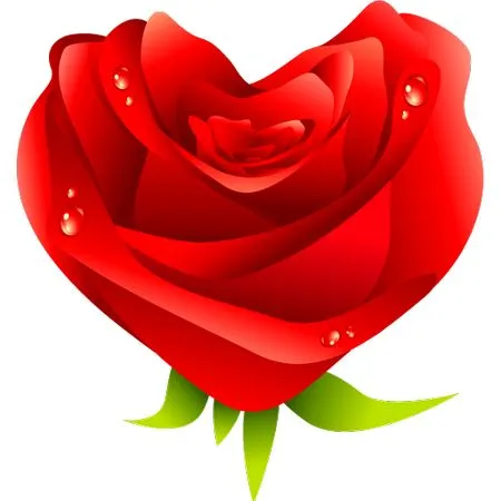 ������ɫõ�廨����ҶPNG���ͼ