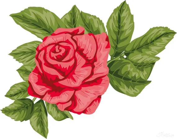 ���ɫ����õ�廨PNG���ͼ