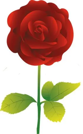 ���ź�ɫõ�廨�廭PNG���ͼ