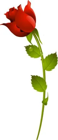 ������ɫõ�廨����ҶPNG���ͼ