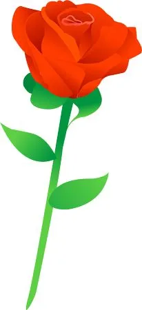 ��ɫõ�廨�ͻ�����ҶPNG���ͼ