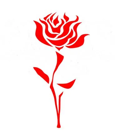 ��������������ɫõ�廨PNG���ͼ