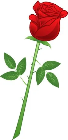 ��ɫõ�廨�廭PNG���ͼ