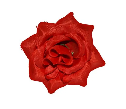 ������ɫõ�廨��PNG���ͼ