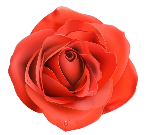 ���Ŵ�ˮ�κ�õ��PNG���ͼ