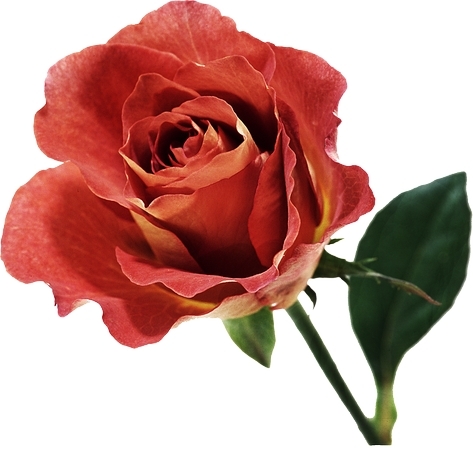 �������̾���õ��PNG���ͼ