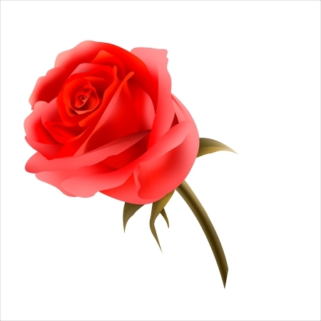 ��ɫ����õ��PNG���ͼ