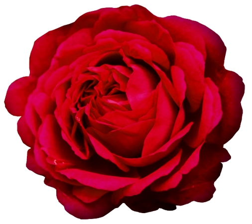 ������õ�廨��PNG���ͼ