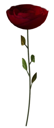 ���õ��PNG���ͼ