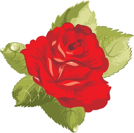 ��Ҷ��õ��廭PNG���ͼ