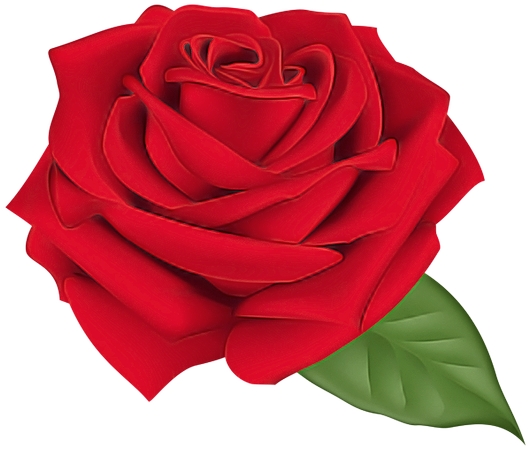 Ҷϸ�ں�õ��廭PNG���ͼ