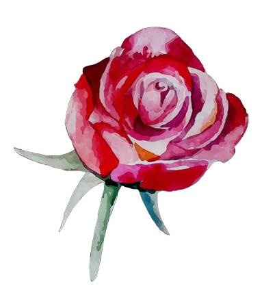 ����ˮ�ʺ�õ��廭PNG���ͼ