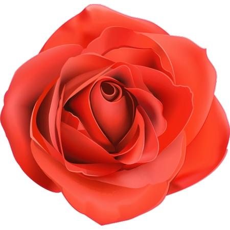 ��õ��廭PNG���ͼ