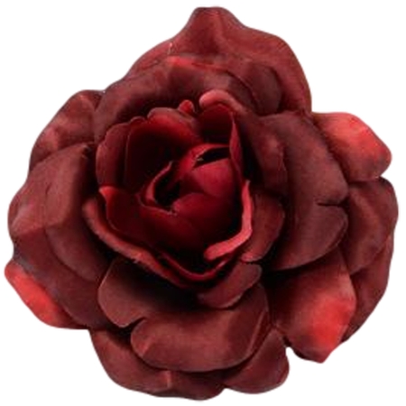 ���ź�õ�廨��PNG���ͼ