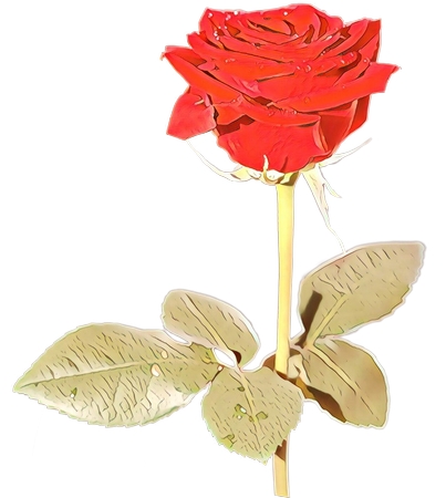 ���������õ��廭PNG���ͼ