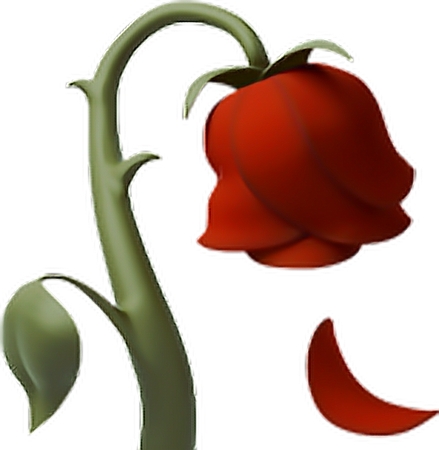 ��л��õ��PNG���ͼ