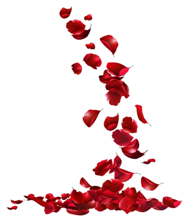 Ʈ���õ�廨��PNG���ͼ