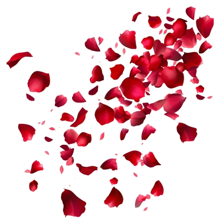 ɢ���õ�廨��廭PNG���ͼ