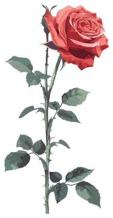 ���ź�õ�廨�ܲ廭PNG���ͼ