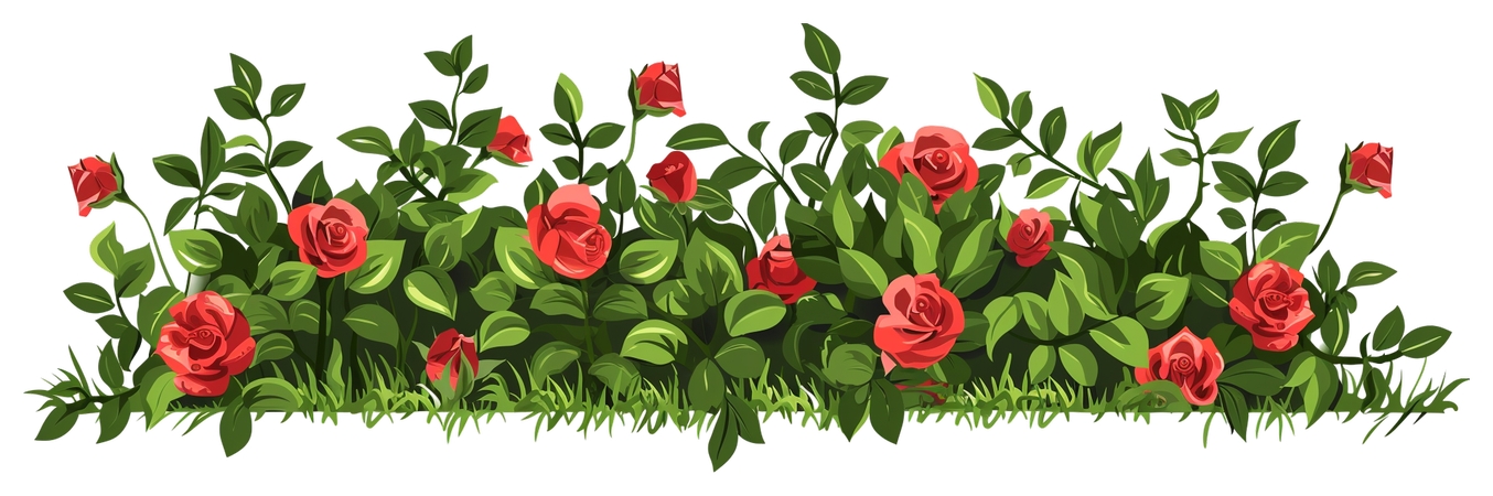 ��õ��Բ廭PNG���ͼ