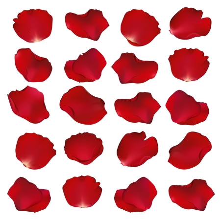 װ���ú�õ�廨��PNG���ͼ