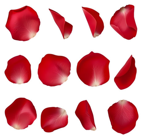 ����װ�κ�õ�廨��PNG���ͼ