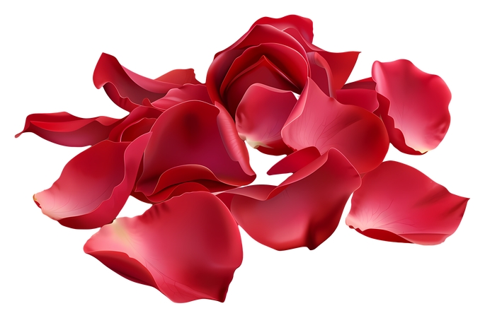 ����װ�κ�õ�廨��PNG���ͼ