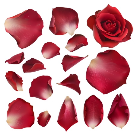 ��õ�廨���ղ�PNG���ͼ