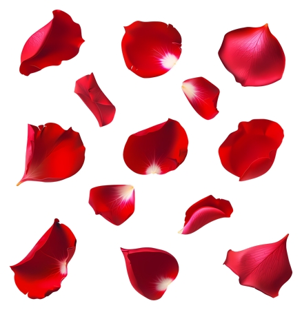 ɢ���õ�廨��װ��PNG���ͼ