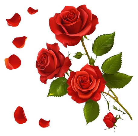 �����õ������PNG���ͼ