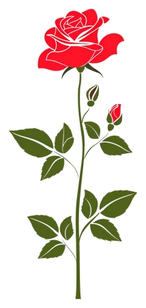 ��õ��ֲ��廭PNG���ͼ