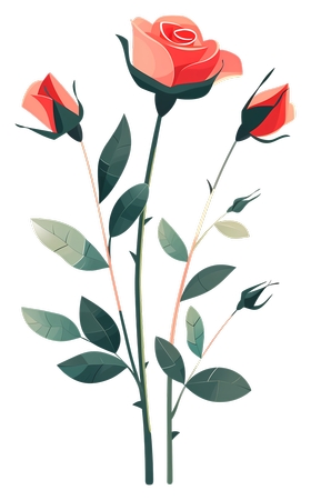 ��õ�徥�����廭PNG���ͼ