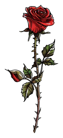 ��õ��ֲ��廭PNG���ͼ