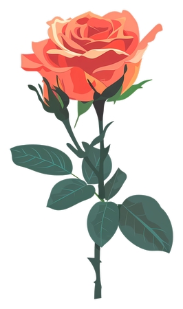 ���˽ں�õ�廨��廭PNG���ͼ