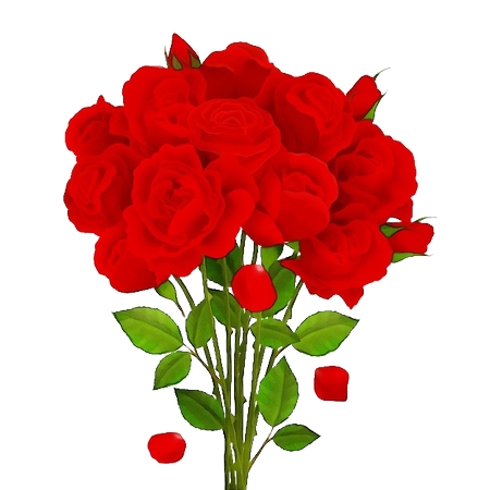 ������õ�廨��PNG���ͼ