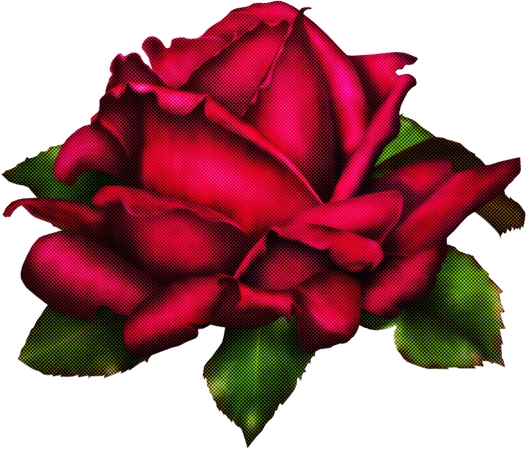 ��Ҷ��õ��廭PNG���ͼ