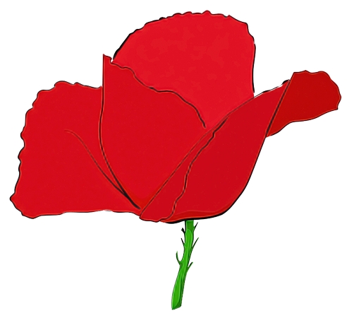 ��õ�廨�ܲ廭PNG���ͼ