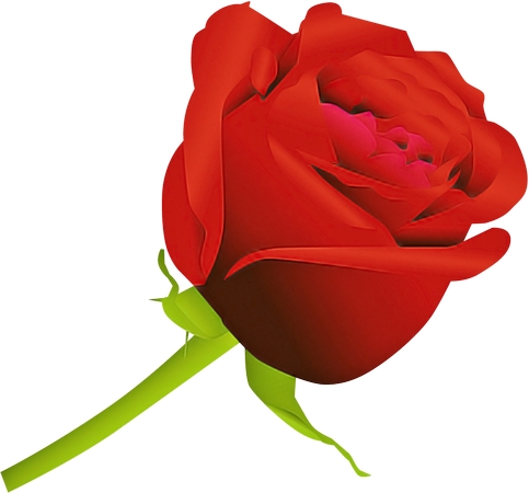 ������õ��廭PNG���ͼ