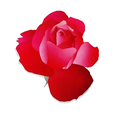 ��õ�廨��PNG���ͼ