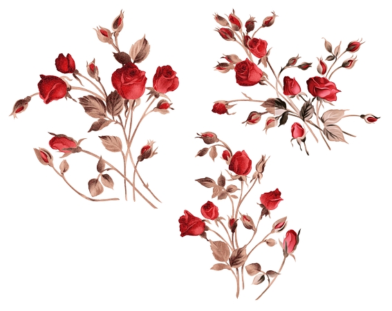 ������õ�廨���廭PNG���ͼ